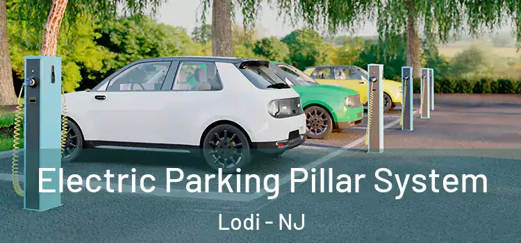  Electric Parking Pillar System Lodi - NJ